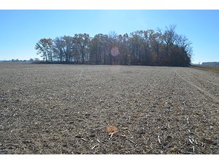 Tract 3 - FARMLAND AUCTION - 165.5+/- ACRES OFFERED IN 5 TRACTS OR COMBINATIONS IN EAST ALLEN COUNTY
